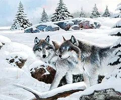 Amneris Fernandez, Untitled - Timber Wolves, 2000, acrylic on wood board