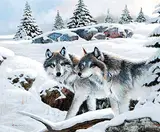 Amneris Fernandez, Untitled - Timber Wolves, 2000, acrylic on wood board