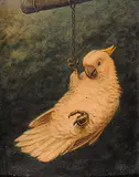 Marinus Adrianus II Koekkoek, Untitled - Parrot, oil on paper mounted on panel