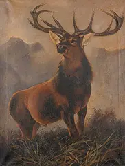 Alice Revill, Untitled - Mountain Stag, 1906, oil on canvas