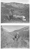 Carl Rungius, Group of Photographs