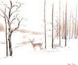 Allen Sapp, Solitary Buck