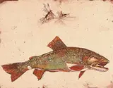 Brookie [Western Trout Series] #A/P by Jack Lee Cowin, 1983, hand coloured etching on paper, sold Apr 2002