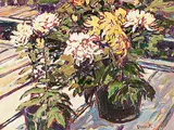 William Duma, Potted Flowers