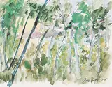 Terry Lynn Fenton, Untitled - Lake through the Trees