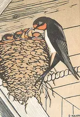 Sylvia Hahn, Swallows, 1957, colour wood block on paper
