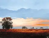 Ted Raftery, Morning Mist