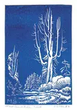 Margaret Shelton, West Coast Cedar #32/100, 1982, lino block on paper
