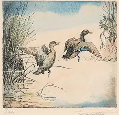 Leonard Watson, Dawn, hand coloured etching on paper