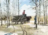 Allen Sapp, Farmer Maybe Buying Wood