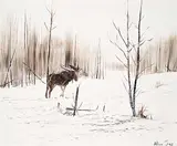Allen Sapp, Bull Moose in Winter Snows