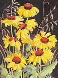 Annora Brown, Untitled - Black Eyed Susans