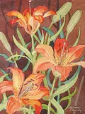 Annora Brown, Untitled - Tiger Lilies