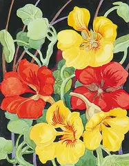 Nasturtiums by Annora Brown, watercolour on paper, sold Nov 2001