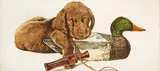 Jack Lee Cowin, Untitled - Lab with Mallard Decoy and Whistle #9/50