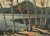 Douglas Ferguson Elliott, Autumn, Madawaska Valley
