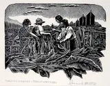 Leonard Hutchinson, Tobacco Workers [Bright Leaf] #50/50