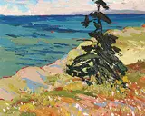 Arthur George Lloy, Shore Spruce - Herring Cove Area, 1984, oil on hard board