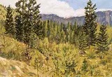 Ronald L. Myren, Near the Chicotin River, oil on particle board