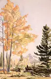 Margaret Shelton, Pilot Mountain
