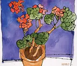 Claude A. Simard, Geranium Sur Fond Bleu