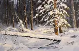 Karl E. Wood, Winter Silence - Wells Gray Prov. Park