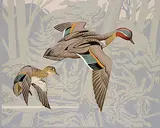 A. J. Casson, Untitled - Red Headed Ducks