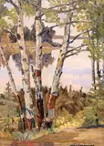 John Gordon Sinclair, Birches at Elk Island, oil on canvas