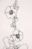 Claude A. Simard, Untitled - Floral Study