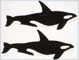 David Thauberger, Whale Print #113/150, 1979, colour silkscreen on paper