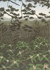 David Denyse, Rain Forest #4/40, 1981, colour lithograph on paper