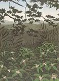 David Denyse, Rain Forest #4/40, 1981, colour lithograph on paper