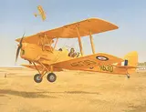 Walter Drohan, De Havilland 'Tigermoth' [UK] South African Air Force, 1943