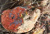 Dulcie Foo Fat, Drumheller Red Stone, oil on canvas