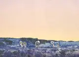 Alexandra Haeseker, Below Zero #4/28, 1982, colour lithograph on paper