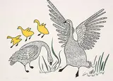 Agnes Nanogak, Brace of Canada Geese #43/50, 1982, colour stencil and relief print on paper