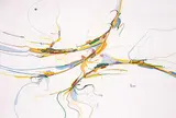 Alex Janvier, Untitled - End Of Line For Hockey