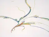 Alex Janvier, Hand Games