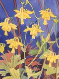 Annora Brown, Untitled - Yellow Columbine