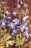 Annora Brown, Untitled - Larkspur