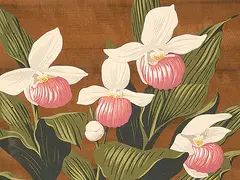 Untitled - Orchids by A. J. Casson, colour silkscreen on wood veneer, sold Nov 2000
