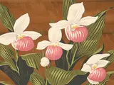 A. J. Casson, Untitled - Orchids