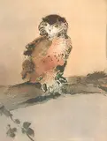 Kaiko Moti, Untitled - Owl II #89/120, 1977, colour etching on paper