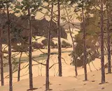 George Thomson, Young Pines -Overlooking the River, oil on paper board