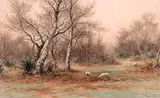 Frederick Arthur Verner, Untitled - Sheep in Pasture