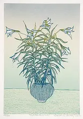 Lorraine Chukly-Ward, White Connet #26/90, colour silkscreen on paper