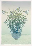Lorraine Chukly-Ward, White Connet #26/90, colour silkscreen on paper