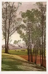 Nostalgia [A] #55/125 by Francisco Dominguez, 1977, colour etching on paper, sold Nov 2000