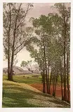 Francisco Dominguez, Nostalgia [A] #55/125, 1977, colour etching on paper