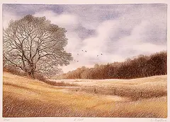 Darrell Duchene, L'Eveil #1/100, colour etching on paper